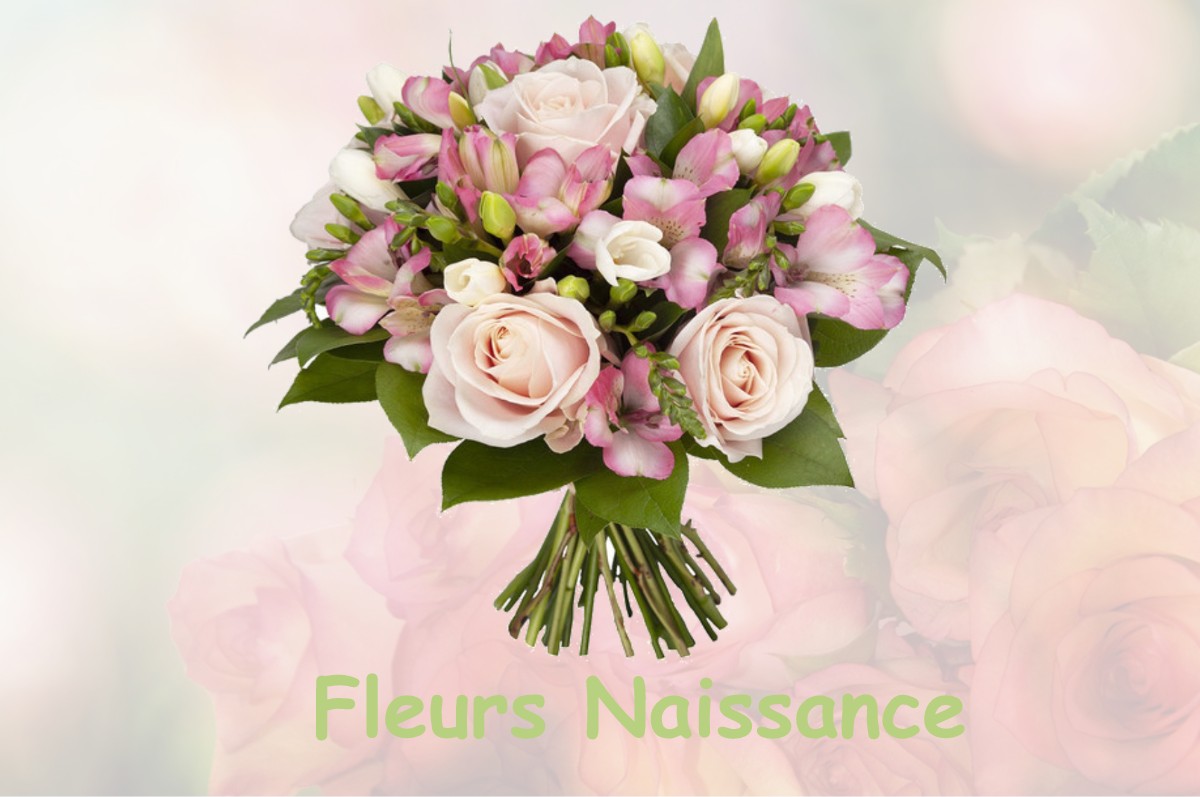 fleurs naissance SAINT-JUSTIN